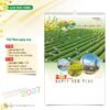 Lịch Treo Tường 2027 HT Mẫu HT39 (40 x 60cm) Ấn Phẩm Lịch Tết Eco Thân Thiện Môi Trường in logo doanh nghiệp quà tặng Tết tại Quà Tặng EcoTech VN