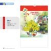 Lịch Treo Tường Lò Xo 2027 NB Mẫu NB253 (16 x 25 cm) Ấn Phẩm Lịch Tết Eco Thân Thiện Môi Trường in logo doanh nghiệp quà tặng Tết tại Quà Tặng EcoTech VN