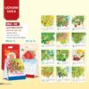 Lịch Bàn Chữ A 2027 NHA Mẫu NHA96 (17 x 19cm) Ấn Phẩm Lịch Tết Eco Thân Thiện Môi Trường in logo doanh nghiệp quà tặng Tết tại Quà Tặng EcoTech VN